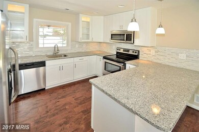 13016 Maple View Ln, Fairfax, VA 22033 - photo 5