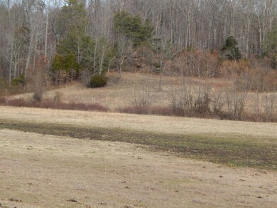 0 Toy Slatten Rd unit 931715, Sparta, TN 38583 - photo 4