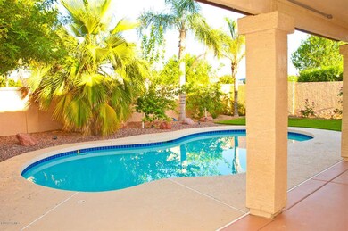 Sparkling pool