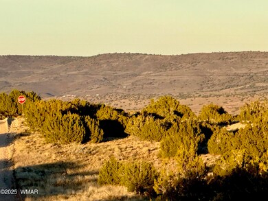 136 Zuni Dr, Concho, AZ 85924 - photo 7