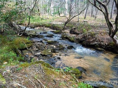 4221 Maple Creek Rd, Rutherfordton, NC 28139 - photo 5