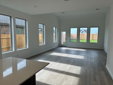 27130 Coneflower Daisy Way, Hockley, TX 77447 - photo 5