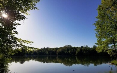 120 Inagehi Way, Loudon, TN 37774 - photo 5