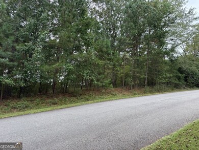 1240 Summit Dr, Watkinsville, GA 30677 - photo 4