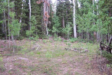 399 N 275 E lot 116 004