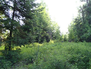 Lot 14 Tranquil Place, Bigfork, MT 59911 - photo 6