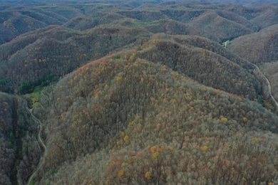 9999 Cow Fork Rd, Beverly, KY 40913 - photo 4