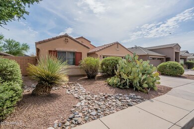 Mountain View-1