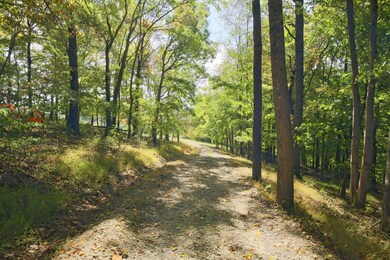 11873 State Route 93 N, Logan, OH 43138 - photo 4