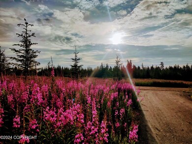 Fireweed