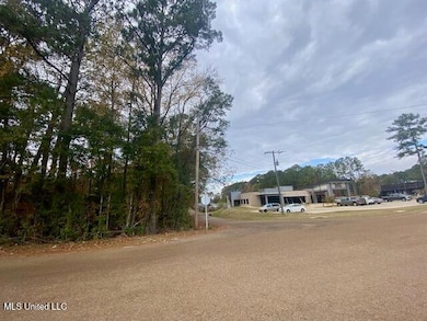 0 Llewellyn Ave, McComb, MS 39648 - photo 4