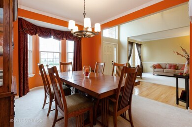 1 Tregonwell Ct, Algonquin, IL 60102 - photo 6