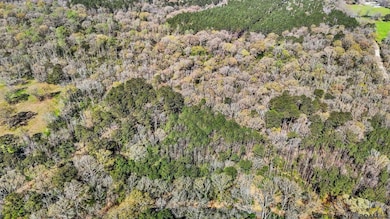 tbd Beechgrove Rd, Clinton, LA 70722 - photo 6