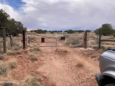 22 County Rd, Concho, AZ 85924 - photo 7