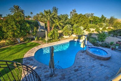 back yard