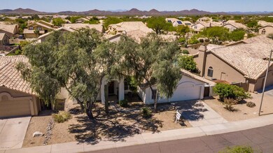 Large shade trees in 85331.