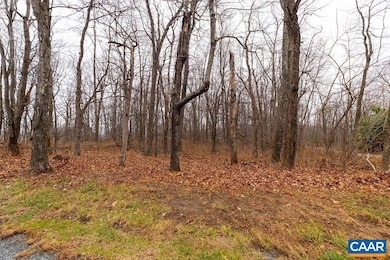 559 Laurel Springs Dr unit PRYOR CAMP II 24, Roseland, VA 22967 - photo 3