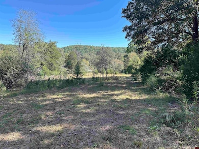 Lot 38 Bluffview Place, Flippin, AR 72634 - photo 4