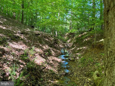 0 Harris Creek Rd unit VAAB2000634, Charlottesville, VA 22902 - photo 5