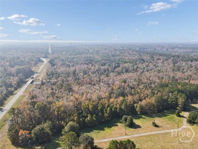 0 S Coastal Hwy, Riceboro, GA 31323 - photo 7