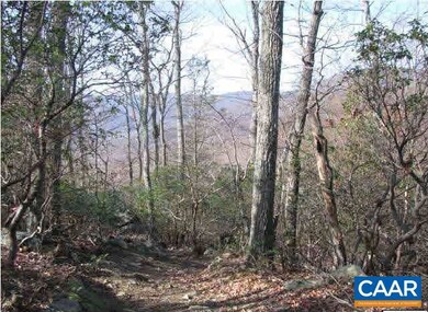 1 Brokenback Mountain Rd, Free Union, VA 22940 - photo 3