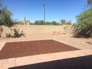 39518 N MESSNER BACKYARD
