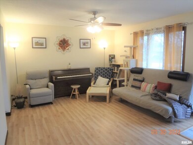 805 Bryan Ave, Lincoln, IL 62656 - photo 5