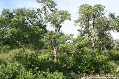 LT 22 Ivory Canyon, San Antonio, TX 78255 - photo 3