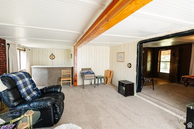 4105 N 38540 W, Tabiona, UT 84072 - photo 6