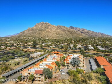 CLOSE TO THOSE CATALINAS