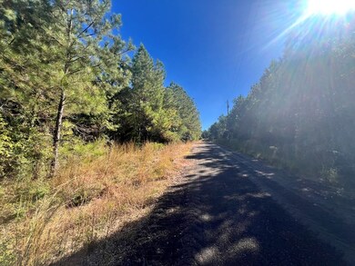 - Airport Ln, Crosby, MS 39633 - photo 4