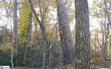 0 Eastview Dr, Pickens, SC 29671 - photo 7