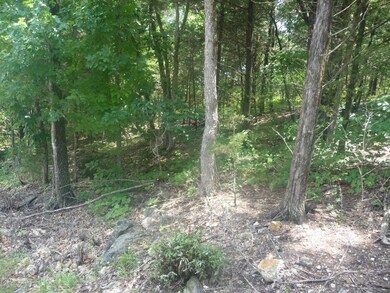Table Rock Lake frontage