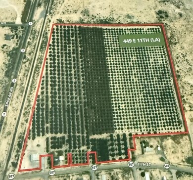 449 E 11th St, Lake Arthur, NM 88253 - photo 5