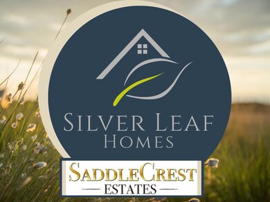 101 Bosal Ln, Weatherford, TX 76088 - photo 3