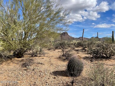 7305 N van Ark Rd unit 2, Tucson, AZ 85743 - photo 4