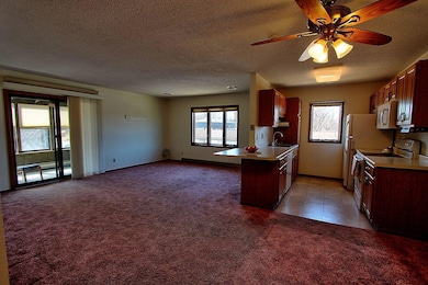 222 Sargent Dr unit 202, Red Wing, MN 55066 - photo 5