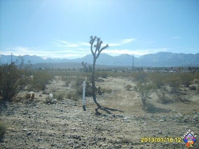 Additional Photo