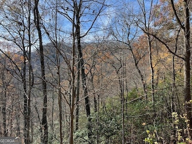 LOT 19 the Highlands at Hightower Ridge, Hiawassee, GA 30546 - photo 2