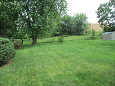 Yard/Garden.