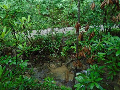 DSC00174