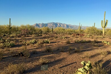 LAZY C RANCH ~ LOT 2