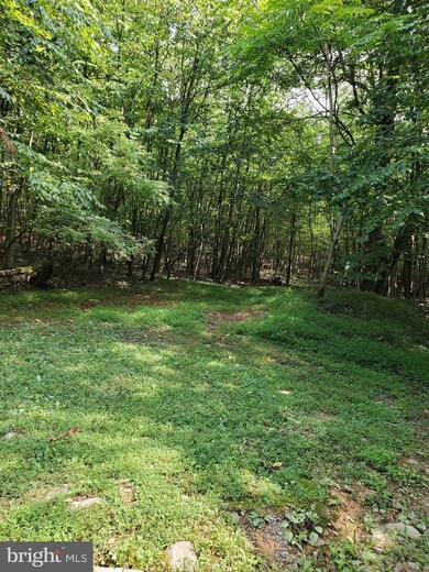 0 Crystal Falls Dr unit MDWA179600, Smithsburg, MD 21783 - photo 3