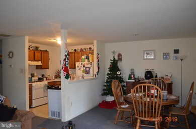 16 S Indian Valley Ct, Little Egg Harbor Township, NJ 08087 - photo 5