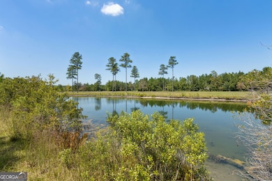 LOT 41 Thoroughbred Rd, Woodbine, GA 31569 - photo 7