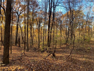 0 Madison 4095 unit 1204133, Crosses, AR 72727 - photo 2