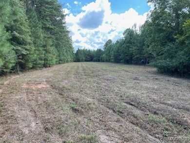 8865 Castleberry Rd, Red Level, AL 36474 - photo 7