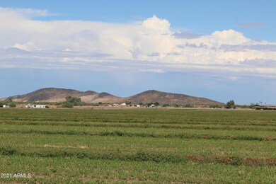 Southern field looking north