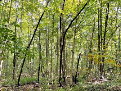 VT Vermont Route 100, Weston, VT 05161 - photo 5