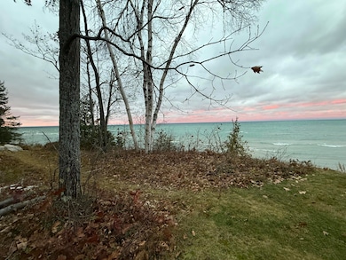 10895 Huron Trail, Cheboygan, MI 49721 - photo 3